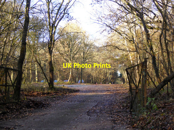 Photo 6"x4" West Wood - paintball terrain Barton Hartshorn c2016