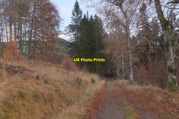 Photo 6"x4" Track above the Banvie Burn Bailanloan c2016