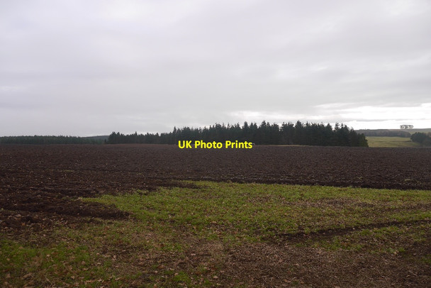 Photo 6"x4" Ploughed field, Pirnie Roxburgh Mains c2016