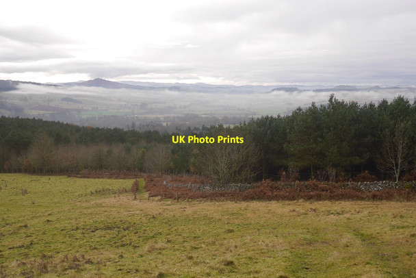 Photo 6"x4" View over Teviotdale Nisbet\/NT6725 c2016