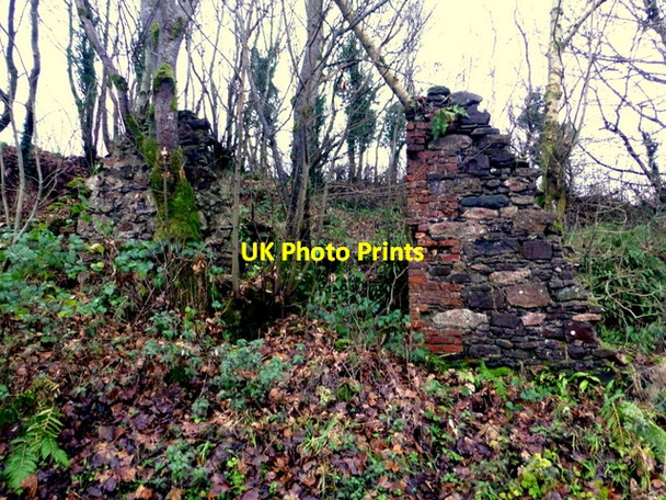 Photo 6"x4" Remains of a ruin, Bracky Beragh c2016