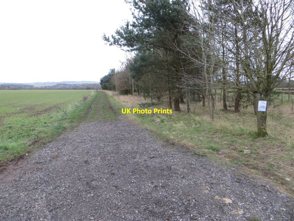 Photo 6"x4" Byway to the A329 Cholsey c2016
