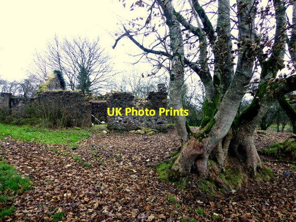 Photo 6"x4" Ruined farm building, Bancran Beragh c2016