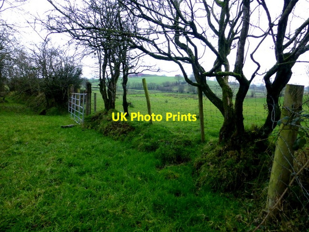 Photo 6"x4" Grassy lane, Bancran Beragh c2016
