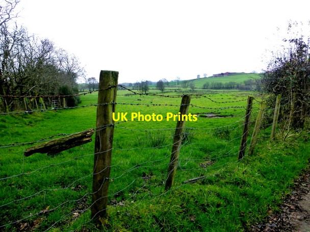 Photo 6"x4" Wire fence, Bancran Beragh c2016