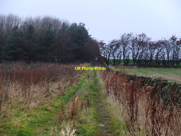 Photo 6"x4" Footpath between Boar's Den Farm and High Moor Lane High Moor\/SD5011 c2016