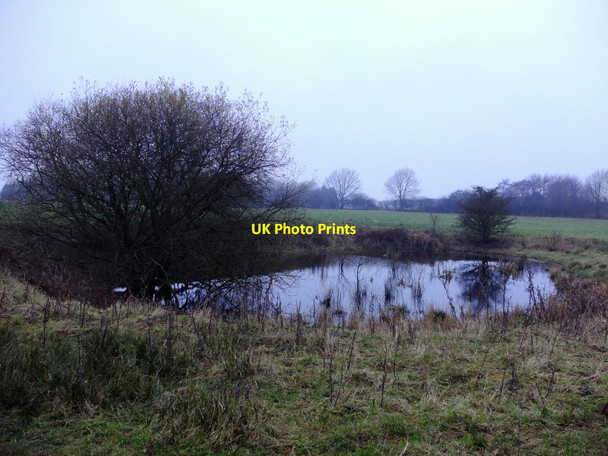 Photo 6"x4" Another pond between High Moor Lane and Sparrow Hill High Moor\/SD5011 c2016