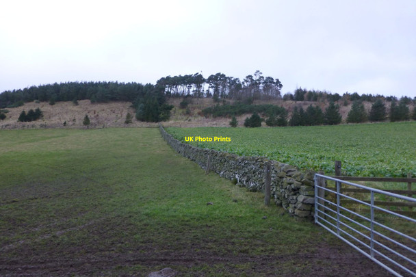 Photo 6"x4" Pasture and arable fields at Old Graden Hoselaw c2016