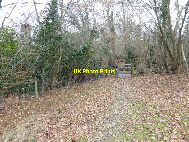 Photo 6"x4" Footpath reaches Nuthurst Street from the west Maplehurst\/TQ1924 c2016