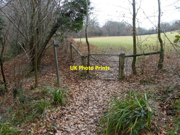 Photo 6"x4" Bridleway enters field from woodland Copsale c2016