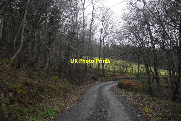 Photo 6"x4" Road, Whitelawhead Dollar c2016