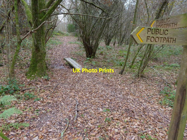 Photo 6"x4" Footpath with plank bridge in Spring Wood Monk's Gate c2016