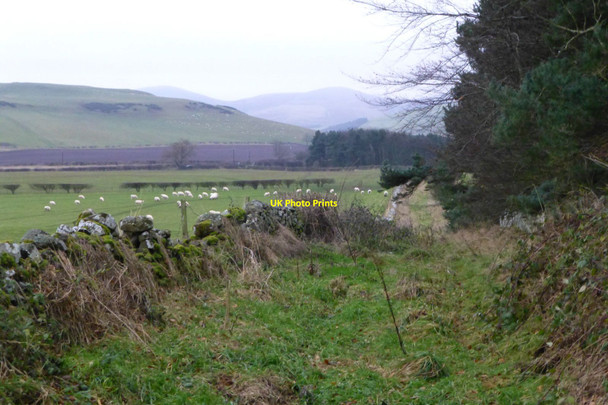 Photo 6"x4" Walled track Pressen c2016