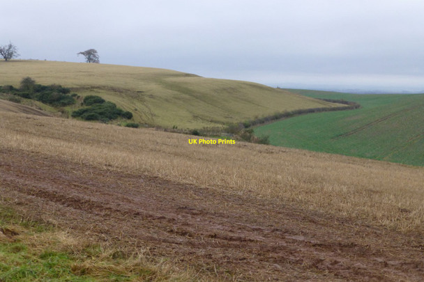 Photo 6"x4" Arable fields Pressen c2016