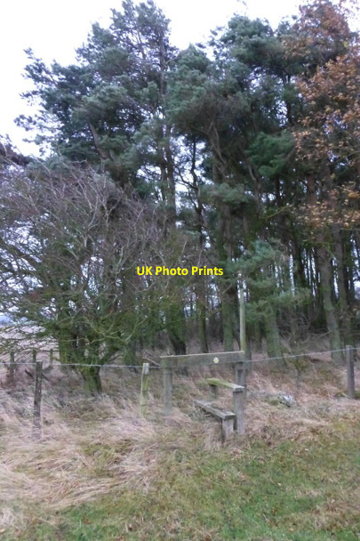 Photo 6"x4" Stile on footpath Pressen c2016