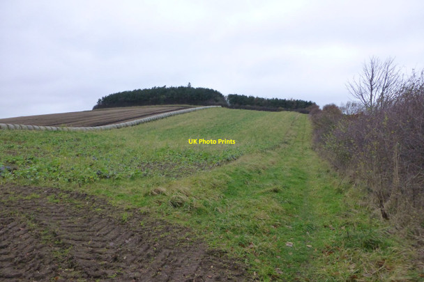 Photo 6"x4" Blake Law East Learmouth c2016