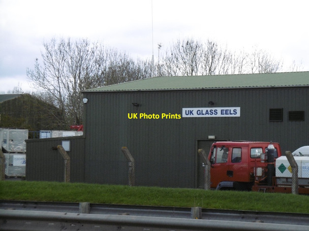Photo 6"x4" UK Glass Eels Gloucester c2016