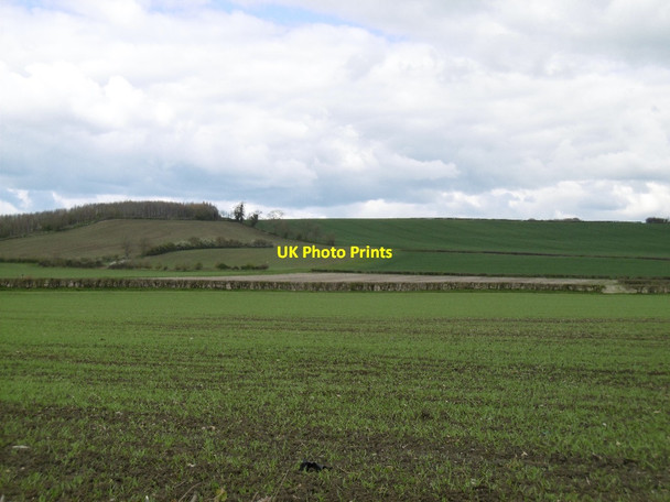 Photo 6"x4" Towards Sandhurst Hill Sandhurst\/SO8223 c2016