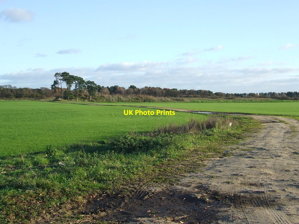 Photo 6"x4" Green Fields And Blue Sky Hockwold cum Wilton c2016