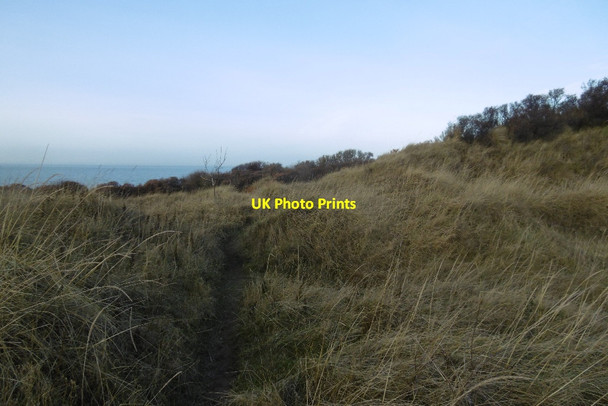 Photo 6"x4" Gullane Bents Gullane c2016
