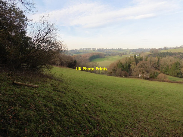 Photo 6"x4" Hillside above Chalkway Chalkway c2016