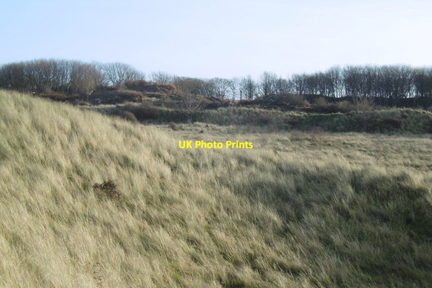 Photo 6"x4" West Links Dirleton\/NT5183 c2016
