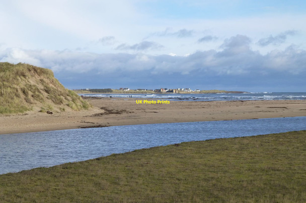 Photo 6"x4" Long Nanny enters Beadnell Bay Tughall c2016