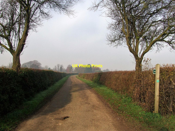 Photo 6"x4" Footpath And Sign Barton Mills c2016