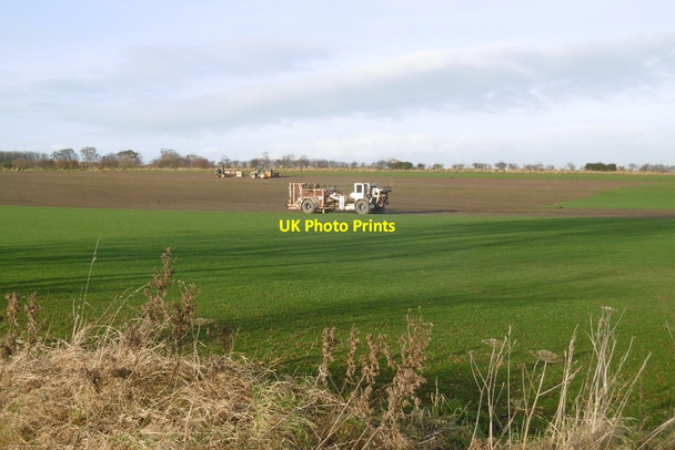 Photo 6"x4" Turf field, Lochhouses Whitekirk c2016