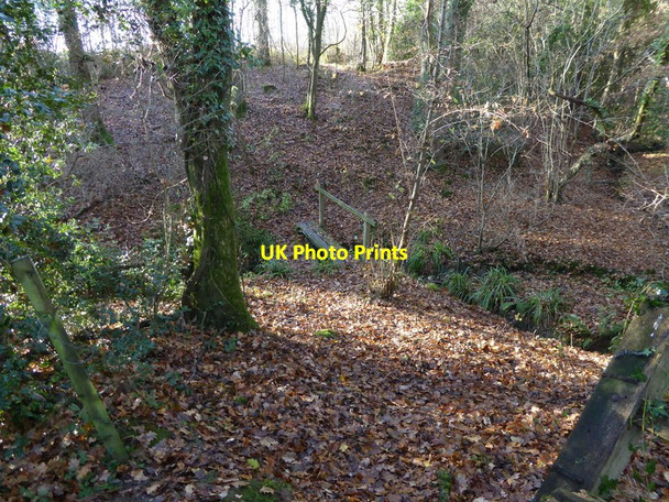 Photo 6"x4" Footbridge in woodland east of Shipley Road Dragons Green c2016