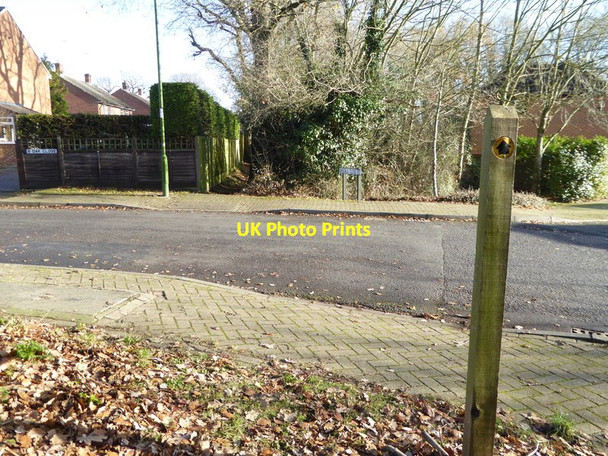 Photo 6"x4" Footpath crosses Andrews Road Southwater c2016