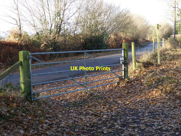 Photo 6"x4" Footpath reaches Jackrells Lane from the east Southwater Street c2016