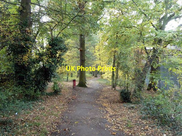 Photo 6"x4" Path from Downderry Road to Moorside Road Bromley\/TQ4069 c2011