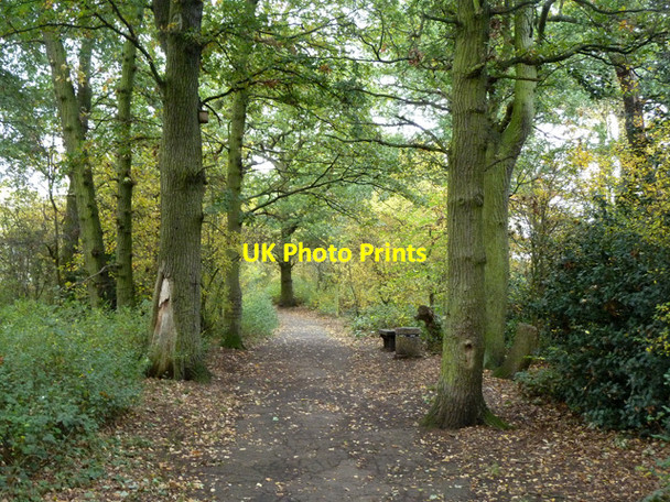 Photo 6"x4" Path from Downderry Road to Moorside Road Bromley\/TQ4069 c2011 P1