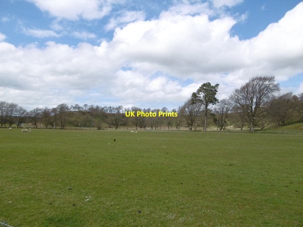 Photo 6"x4" Haugh, Greenockmains Garpel c2016
