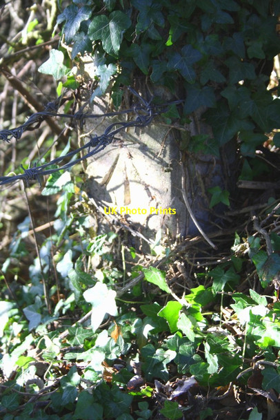 Photo 6"x4" Benchmark on fence post beside the road to Taynton Burford\/SP2512 c2016