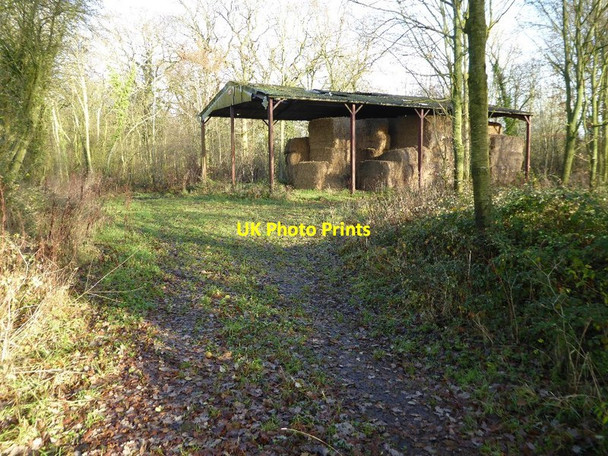 Photo 6"x4" Barn in Longdon Marsh Birtsmorton c2016