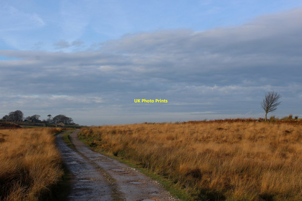 Photo 6"x4" Access Lane from West Borronhead Mewith Head c2016