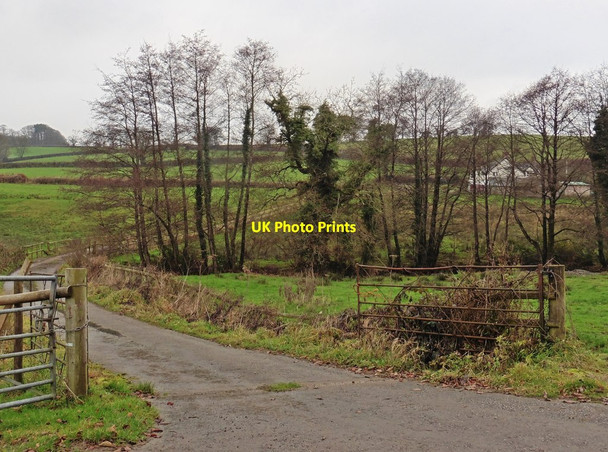 Photo 6"x4" Track to Pontishayes Huntsham c2016