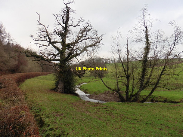 Photo 6"x4" The upper Lowman valley Coombe\/ST0017 c2016