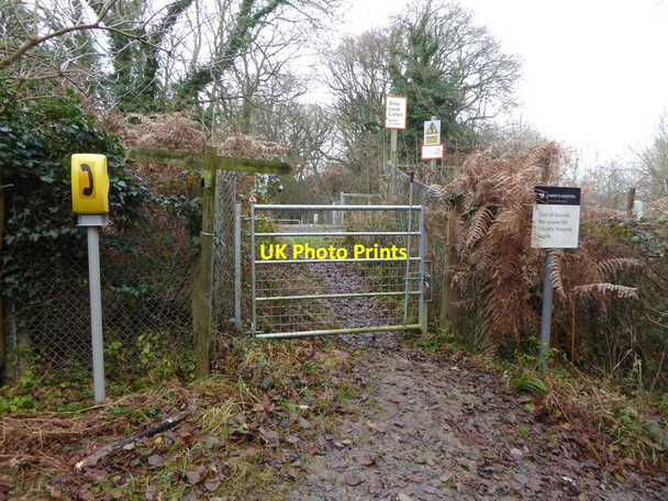 Photo 6"x4" Bridleway approaches level crossing with telephone Barns Green c2016