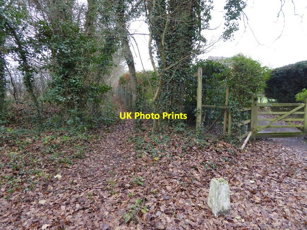 Photo 6"x4" Footpath goes west from Marlpost Road Southwater c2016