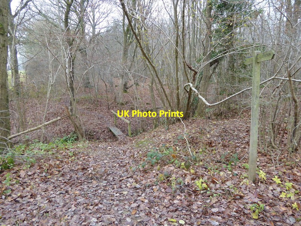 Photo 6"x4" Footpath with bridge goes west in the woods Brooks Green c2016