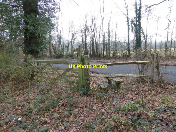 Photo 6"x4" Footpath reaches Park Lane West Grinstead c2016
