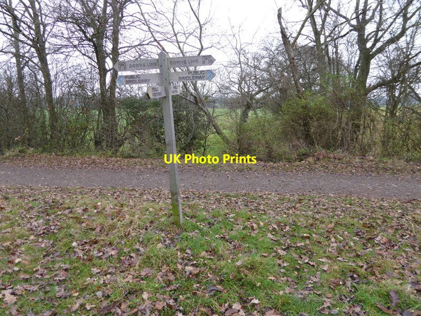 Photo 6"x4" Footpath crosses the Downs Link Littleworth\/TQ1920 c2016