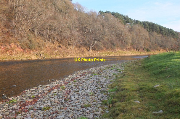 Photo 6"x4" The Tweed approaching Newstead Melrose\/NT5434 c2016