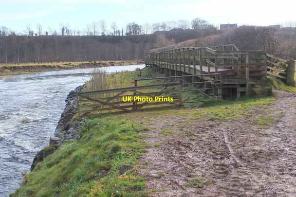 Photo 6"x4" Boardwalk by the Tweed, Newstead Melrose\/NT5434 c2016