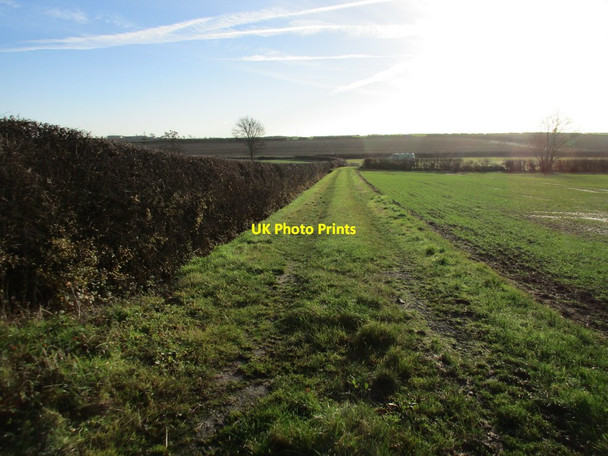 Photo 6"x4" Footpath to Laxton Common Egmanton c2016