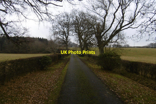 Photo 6"x4" Drive, West Mains Huntingtower c2016
