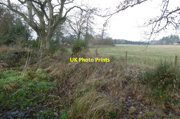 Photo 6"x4" Southton of Blackruthven Tibbermore c2016